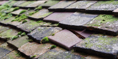 Haydon Hill roof repair costs